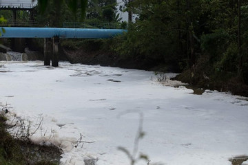 Hiện tượng lạ nổi trắng xóa mặt sông ở Bà Rịa - Vũng Tàu
