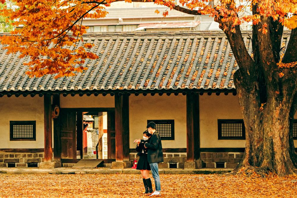 Bộ ảnh mùa thu Hàn Quốc đẹp lịm tim qua ống kính của chàng trai Việt