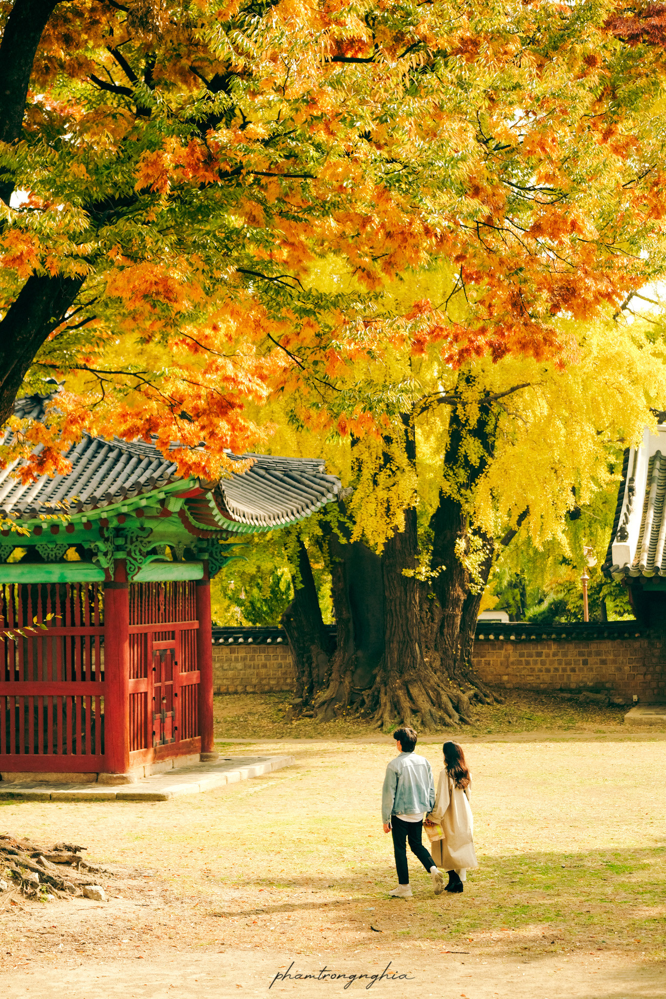 Mùa thu Hàn Quốc ảnh đẹp: Mùa thu chính là khoảng thời gian tuyệt vời nhất để đến thăm Hàn Quốc. Những cánh rừng phong đỏ, những cánh đồng tỏi vàng và những hồ nước bình yên tạo nên một không gian đầy sắc màu. Hãy dành thời gian để thưởng thức cảnh đẹp của Hàn Quốc vào mùa thu này.