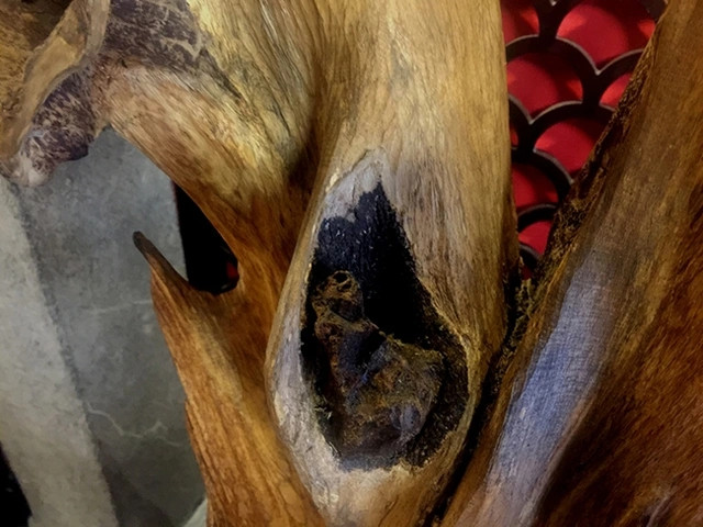 Sung sot nhung khoi tram huong tien ty cua dai gia Viet-Hinh-3