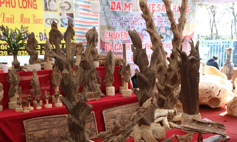 Sửng sốt những khối trầm hương tiền tỷ của đại gia Việt