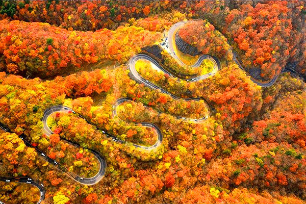 Nhật Bản mùa thu lá đỏ tuyệt đẹp trên cung đèo 48 khúc cua