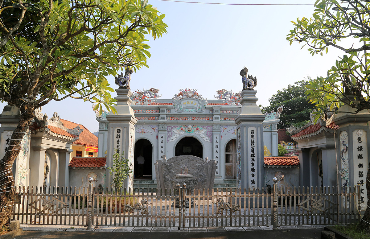 Cây bàng trăm tuổi rỗng ruột vẫn sống tươi tốt ở ngôi đền thiêng