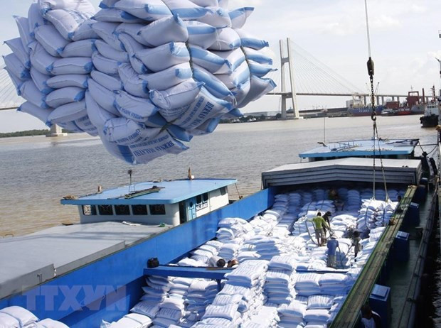 Over 6 million tonnes of rice exported in 10 months hinh anh 1