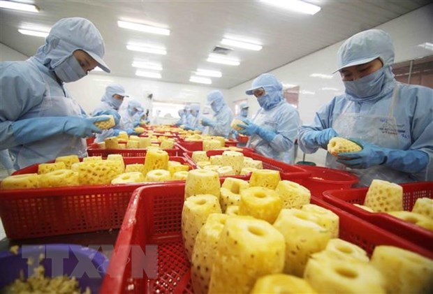 Four out of 10 Vietnamese businesses benefit from EVFTA: VCCI survey hinh anh 1