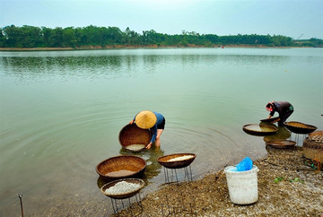 Mussel village comes out of its shell