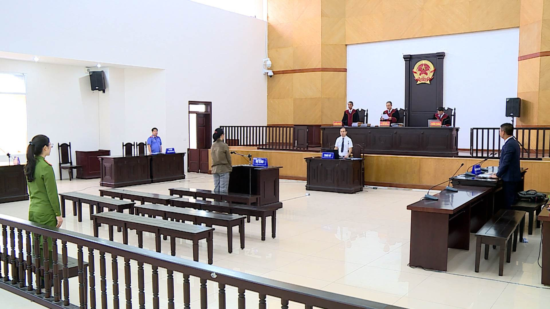 Giảm án tù cho nữ giám đốc trốn thuế