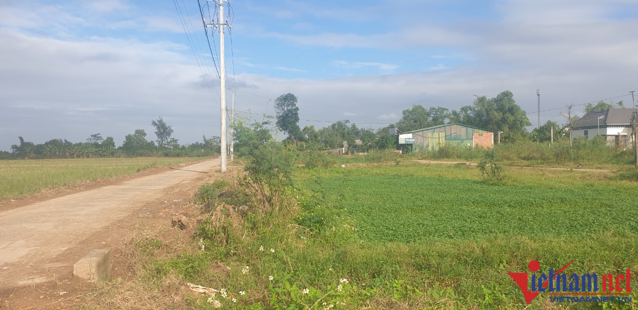 Trong giai đoạn từ năm 2016 - 2019, UBND xã Triệu Thành sai phạm hàng loạt vì giao đất không đúng đối tượng, đất giao xong người dân không sử dụng mà chuyển nhượng sai quy định