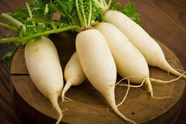 Củ cải trắng có nguồn dinh dưỡng tuyệt vời cho sức khỏe