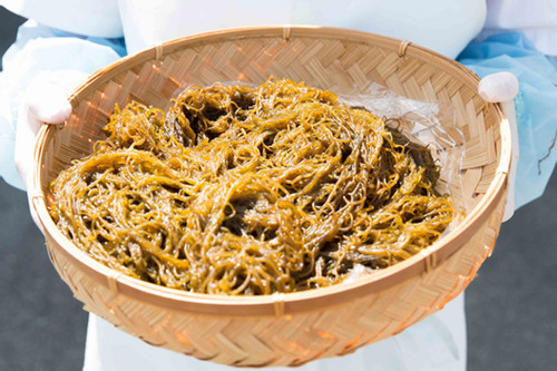 Lợi ích với sức khỏe của tảo nâu Okinawa Mozuku