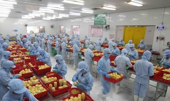 Thương mại song phương Việt Nam - Anh năm đã hồi phục trở lại