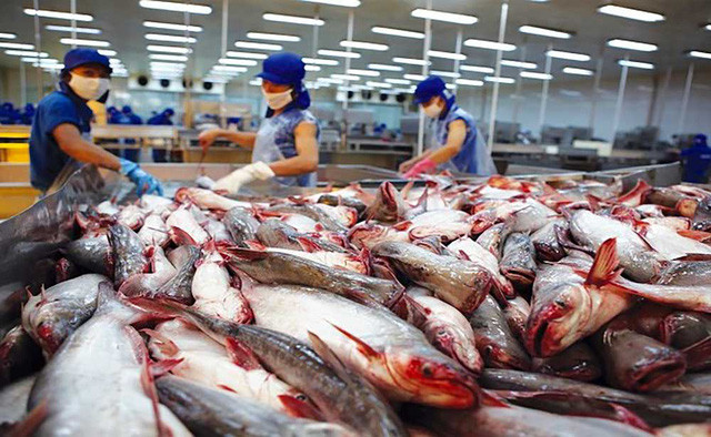 Anh vẫn được coi là thị trường xuất khẩu tiềm năng cho DN cá tra Việt Nam