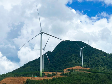 Ngóng cơ chế giá, hơn 80% dự án điện gió ở Quảng Trị triển khai cầm chừng