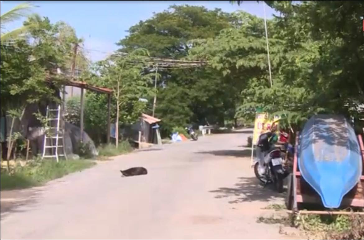 Việt Nam-Campuchia hoàn thành phân giới cắm mốc khoảng 84% chiều dài toàn tuyến