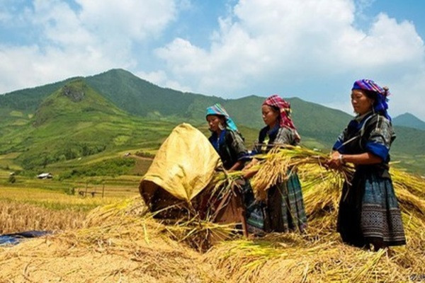 Bảo vệ Tổ quốc trong tình hình mới: Không ngừng hoàn thiện quyền con người