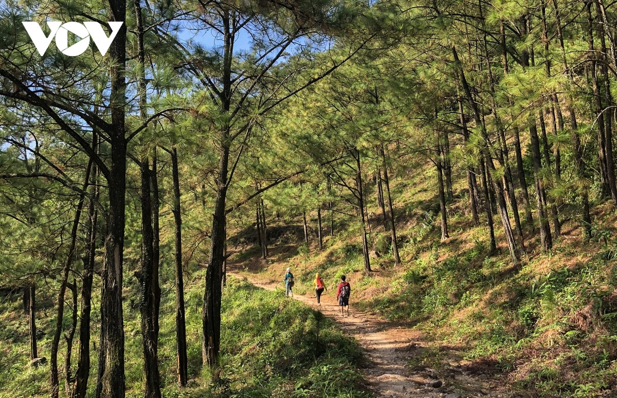 discovering stunning beauty of chong mountain in quang ninh province picture 11