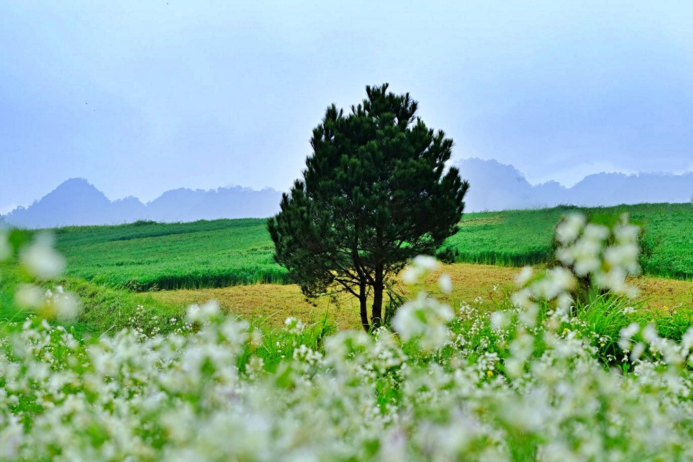'Viên ngọc xanh' ở Tây Bắc vừa lạ vừa quen qua góc máy ảo diệu của nhiếp ảnh gia 8X