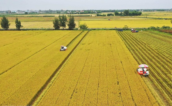 Chủ động thực hiện có hiệu quả nhiều Mục tiêu phát triển bền vững