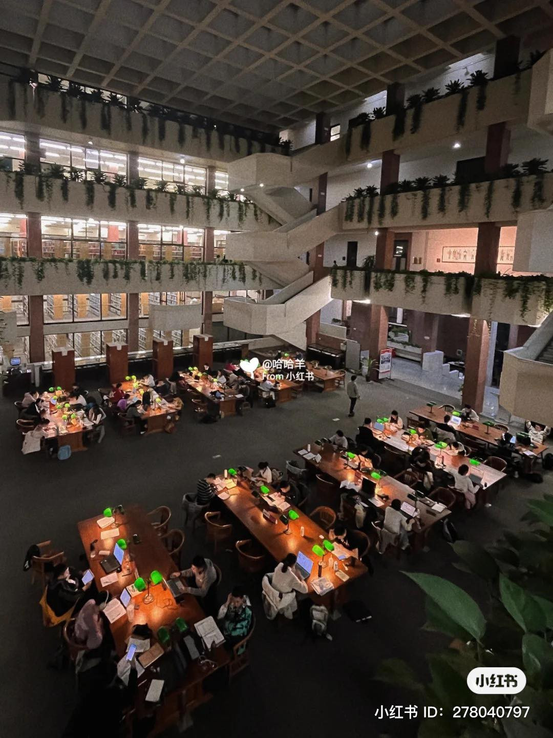Thư viện ở Harvard châu Á 6h vẫn sáng đèn, sinh viên học xuyên đêm