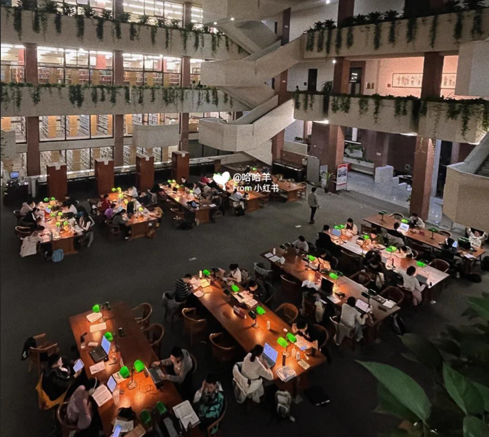 Thư viện ở ‘Harvard châu Á’ 6h vẫn sáng đèn, sinh viên học xuyên đêm