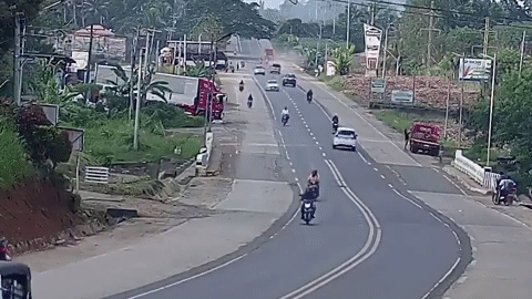 Con chó đột ngột phi sang đường 'hạ gục' hai người đi xe máy