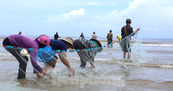 Độc đáo nghề ‘đi giật lùi’ kiếm nửa triệu mỗi ngày ở cửa biển