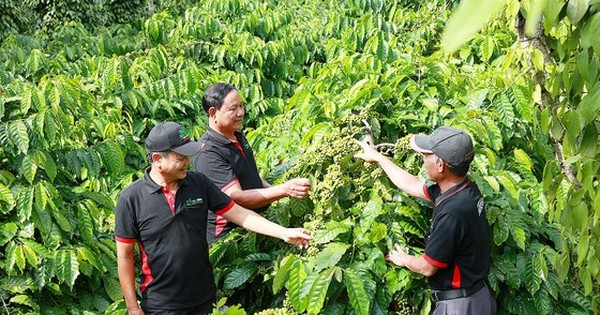 Vietnam promueve economía de cero emisiones