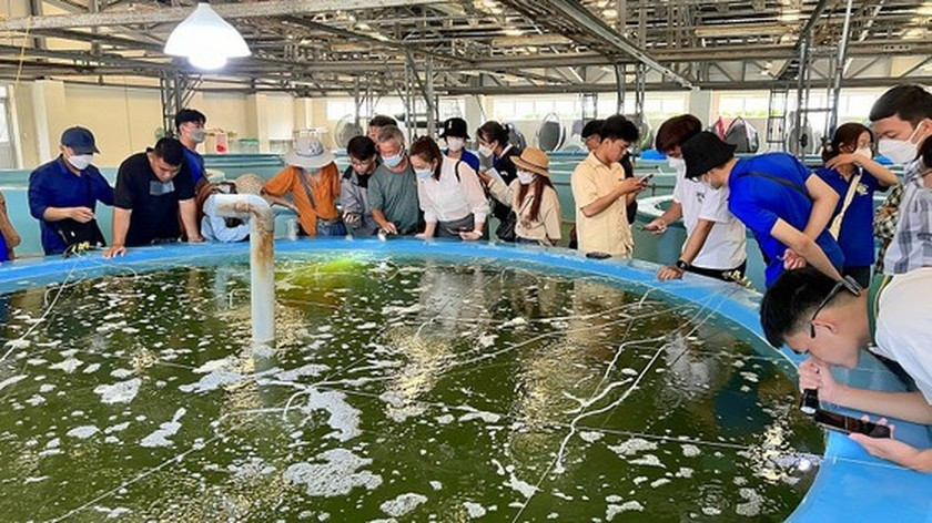 Without career guidance, students drop out in first, second academic years ảnh 1