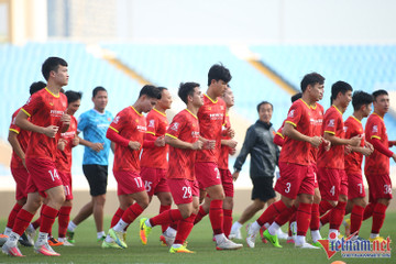 Việt Nam đấu Dortmund: Bài test cho AFF Cup