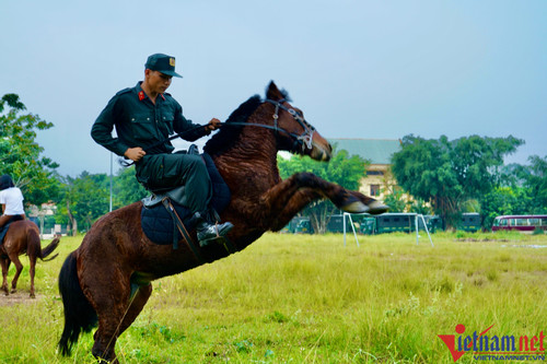 HCM City mobile police and their “war horses”