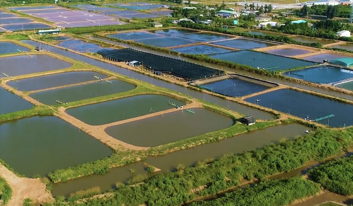 Chuyển đổi mô hình tăng trưởng theo hướng xanh hóa các ngành kinh tế