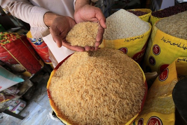 VCCI băn khoăn về nhận định nhập 1 triệu tấn gạo ảnh hưởng sản xuất trong nước