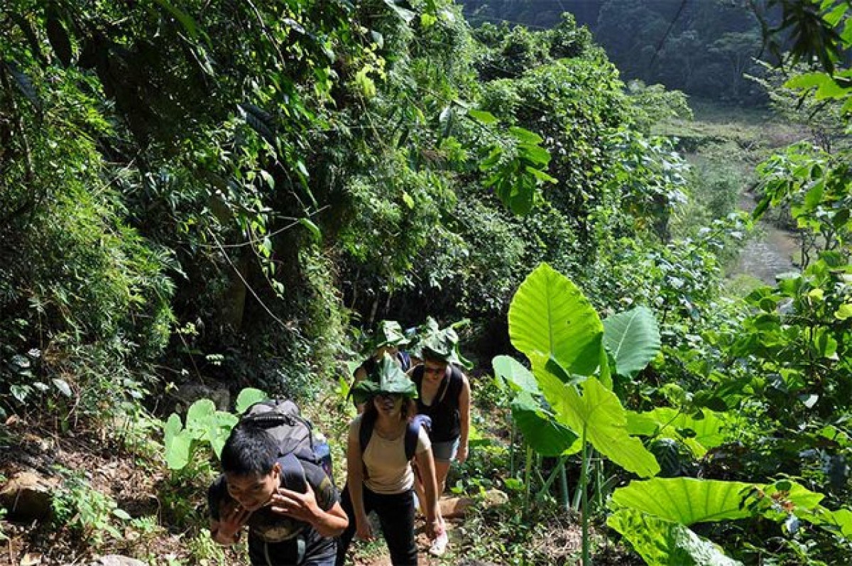Lonely Planet reveals eight fascinating treks in Vietnam in pictures 4