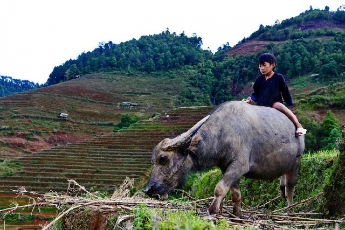 lonely planet reveals eight attractive treks in vietnam picture 2