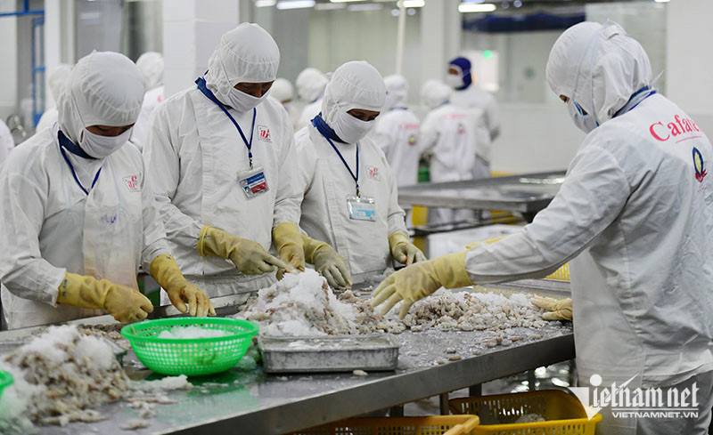 Vietnam posts US$10.6 billion trade surplus in Jan-Nov