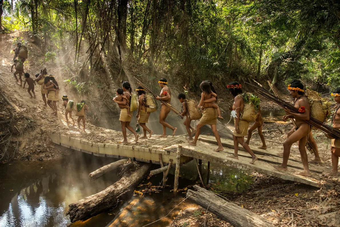 Chỉ với 4 thập kỷ khai phá con người đã chấm dứt 55 triệu năm hấp thụ  carbon của rừng Amazon