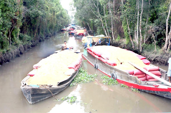 Mekong Delta needs more investment in waterway transport infrastructure