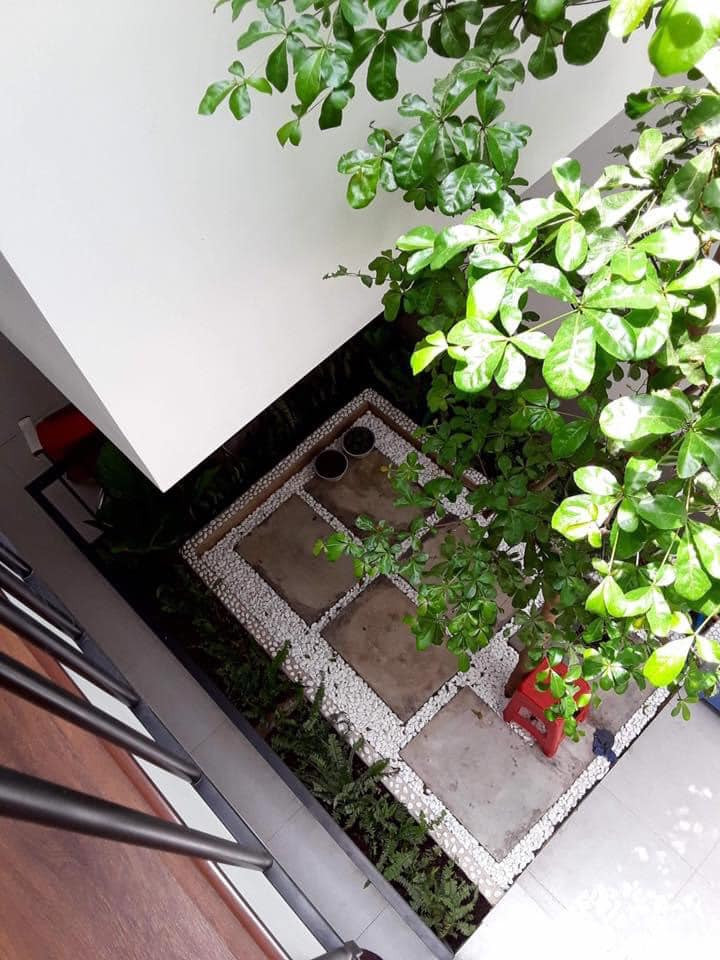 nha ong 786 - Nhà phố rợp cây xanh như khu rừng nhiệt đới, tạo ra cuộc sống nhẹ nhõm và mát mẻ