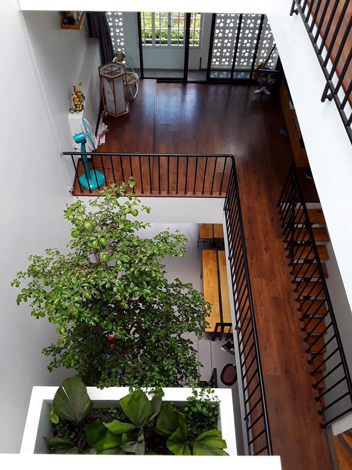 nha ong 790 - Nhà phố rợp cây xanh như khu rừng nhiệt đới, tạo ra cuộc sống nhẹ nhõm và mát mẻ