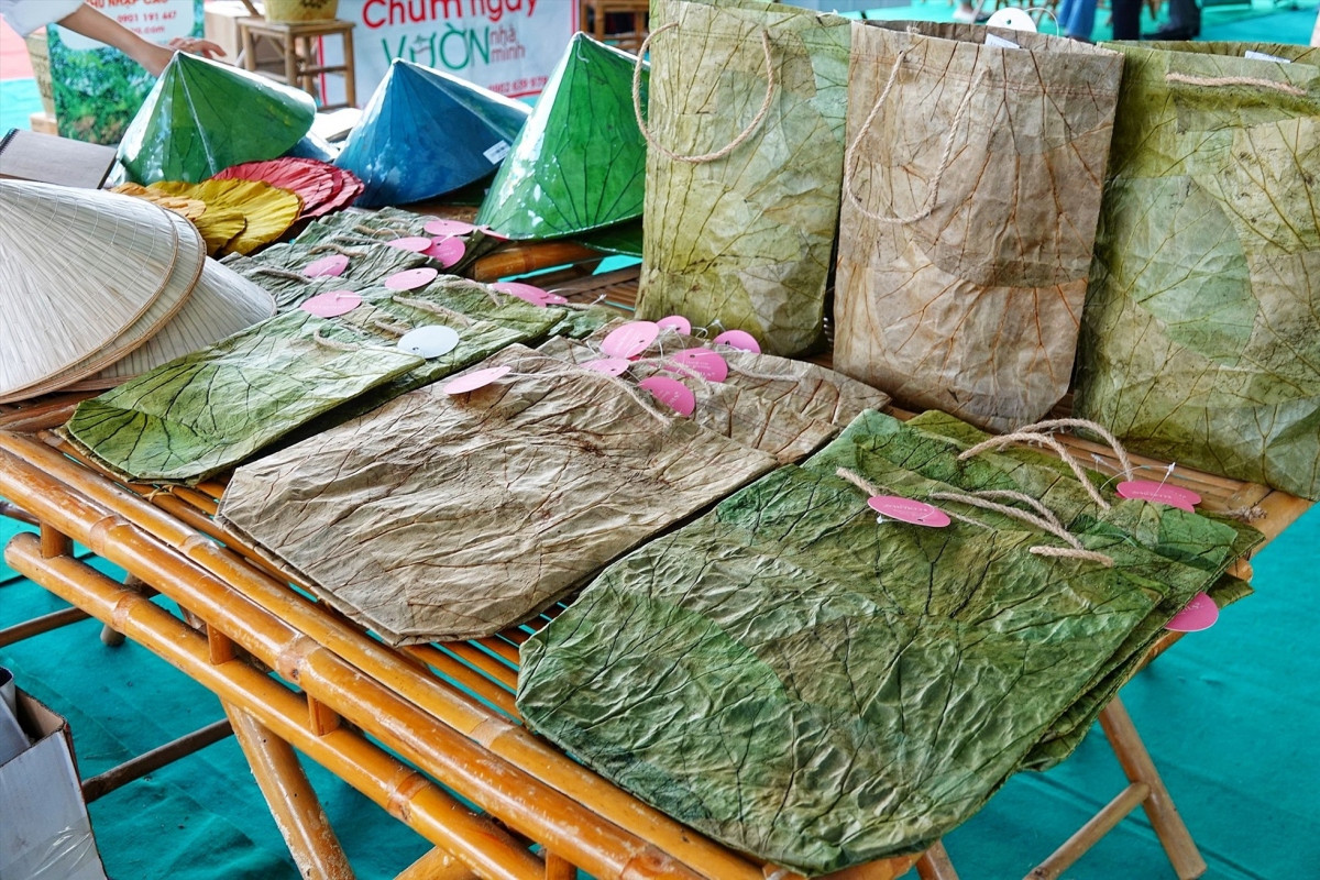 when fashion products are made from leaves picture 7