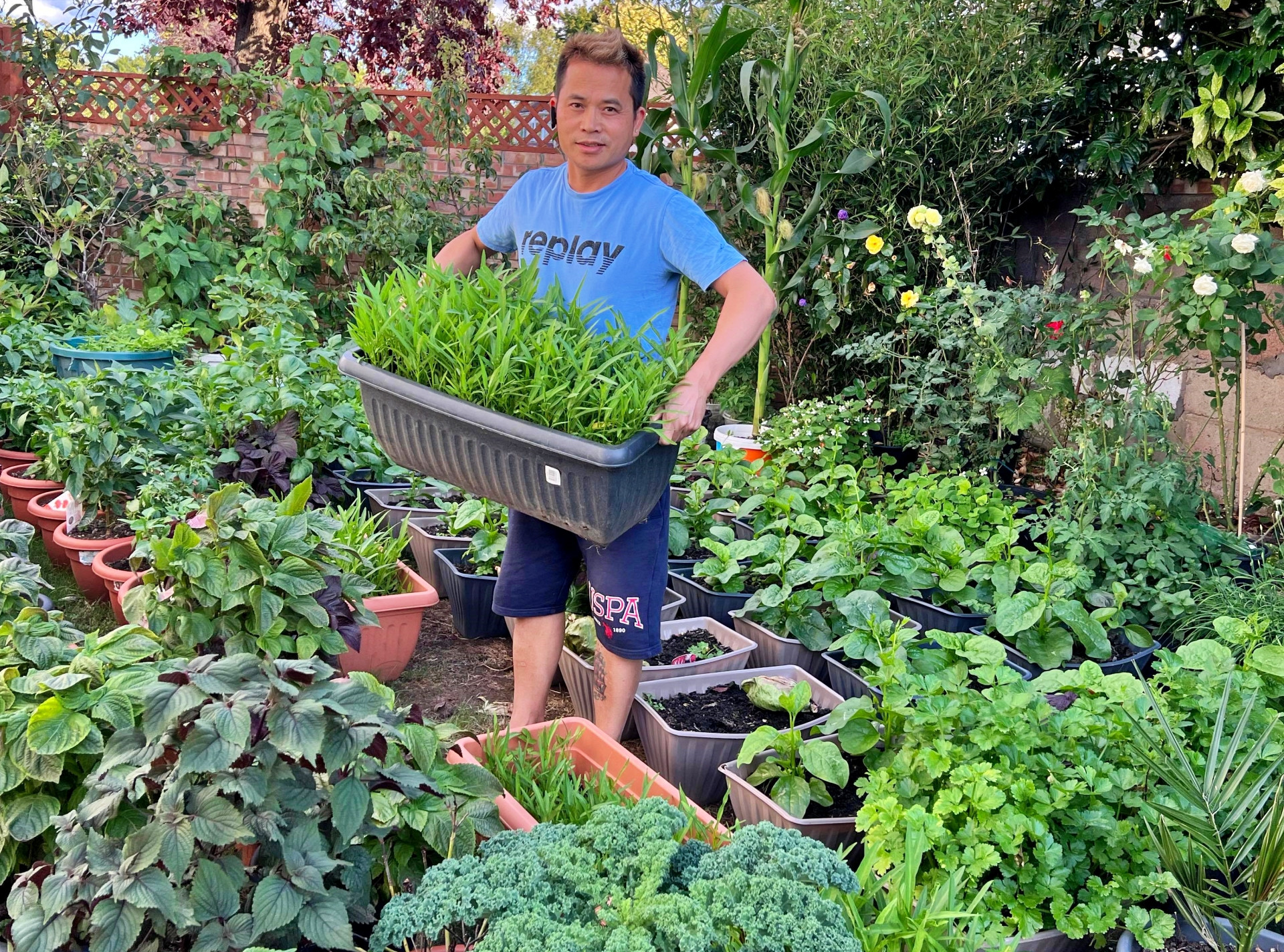 34 năm chỉ ăn món Việt nhờ khu vườn hơn 100 loại rau củ ở Anh