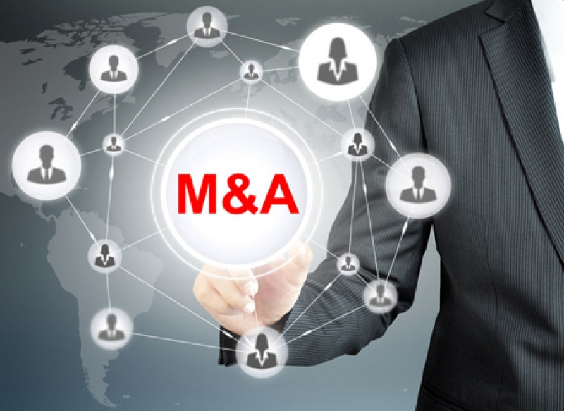 M&A deals hit US$5.7 bln during Jan-Oct  - Ảnh 1.