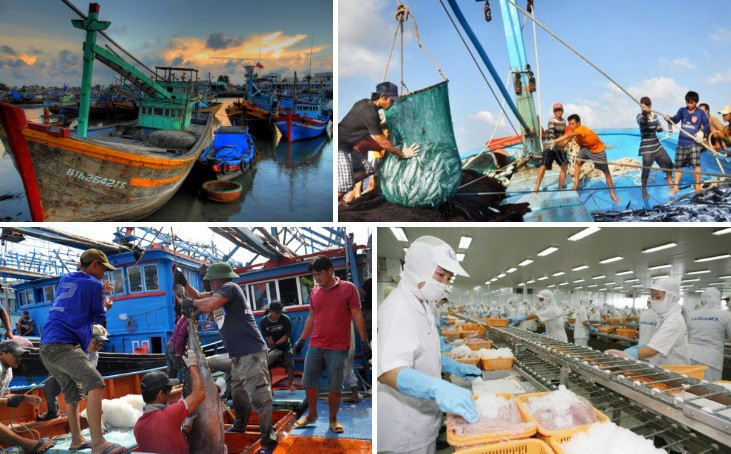 Viet Nam becomes world’s third largest seafood exporter - Ảnh 1.