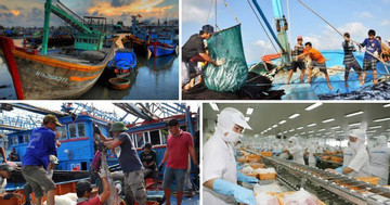 Vietnam becomes world’s third largest seafood exporter