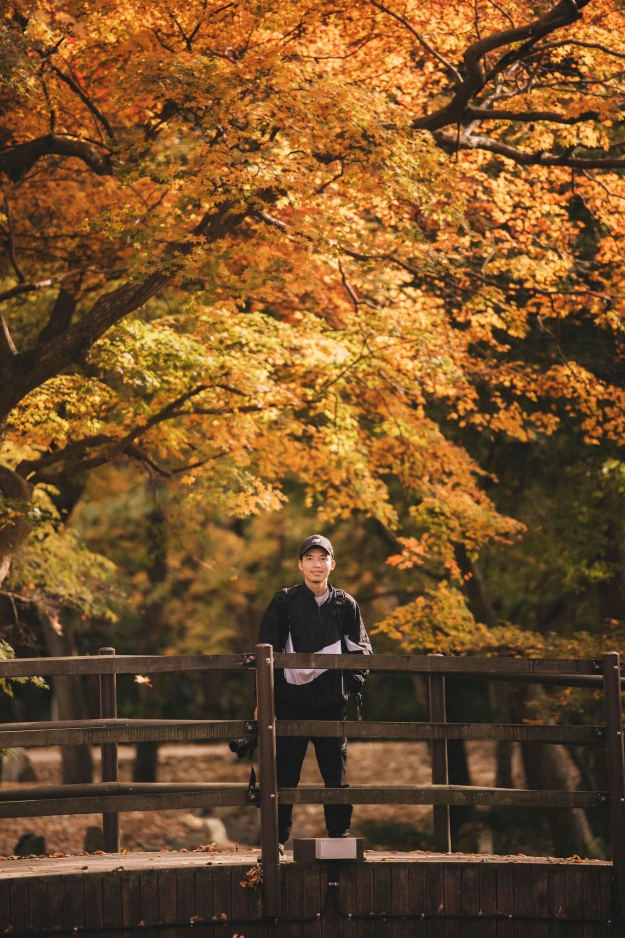 Chàng trai dành 4 năm đi khắp Hàn Quốc để chụp cảnh đẹp mùa thu