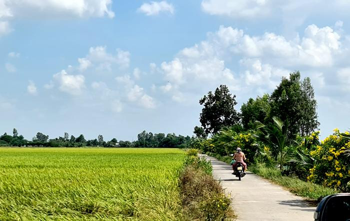 Đồng Tháp: Tuổi trẻ tích cực “Tình nguyện chung tay xây dựng nông thôn mới”