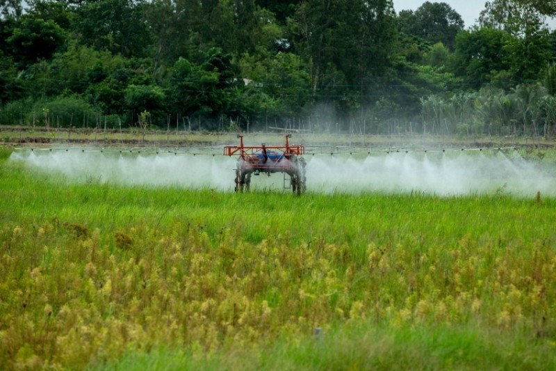 Đồng Tháp chuyển từ tư duy “sản xuất nông nghiệp” sang tư duy “kinh tế nông nghiệp”