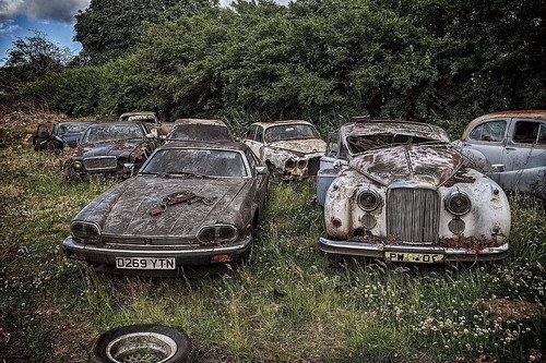 Nghĩa địa xe cổ toàn 'hàng thửa' Jaguar, Austin được tìm thấy bởi một nhiếp ảnh gia