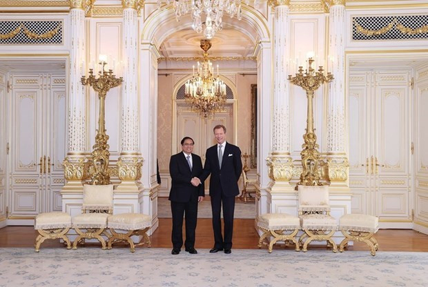 PM meets Grand Duke of Luxembourg hinh anh 1