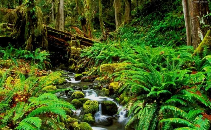 Vườn quốc gia Côn Đảo phát triển du lịch sinh thái kết hợp với bảo tồn thiên nhiên